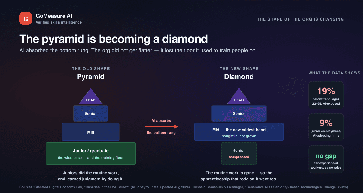 The pyramid is becoming a diamond — and the training floor went with it